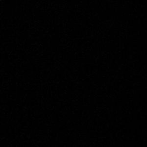 Meet your Posher, Noelle